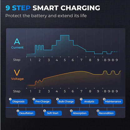 TOPDON T30A Battery Charger for 6V/12V/24V
